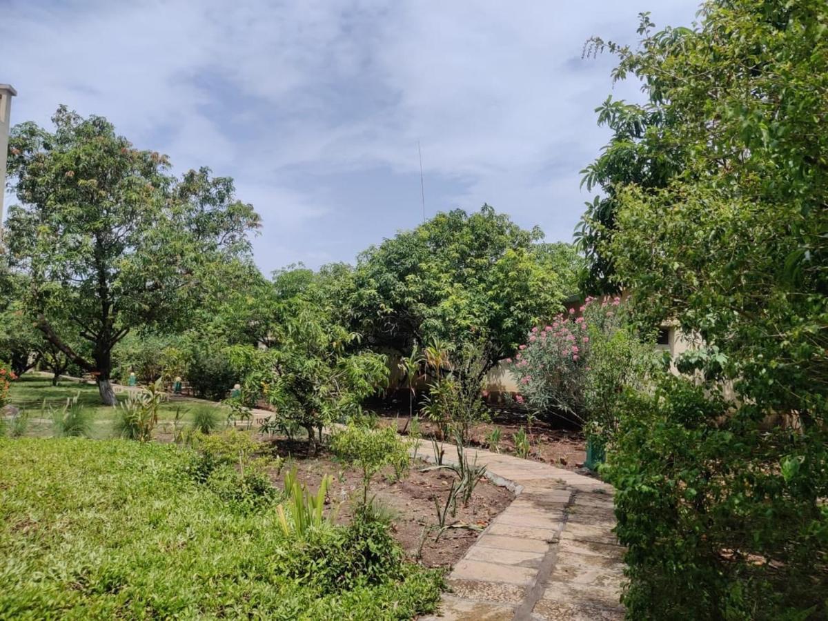 Gir Birding Lodge Sasan Gir Extérieur photo