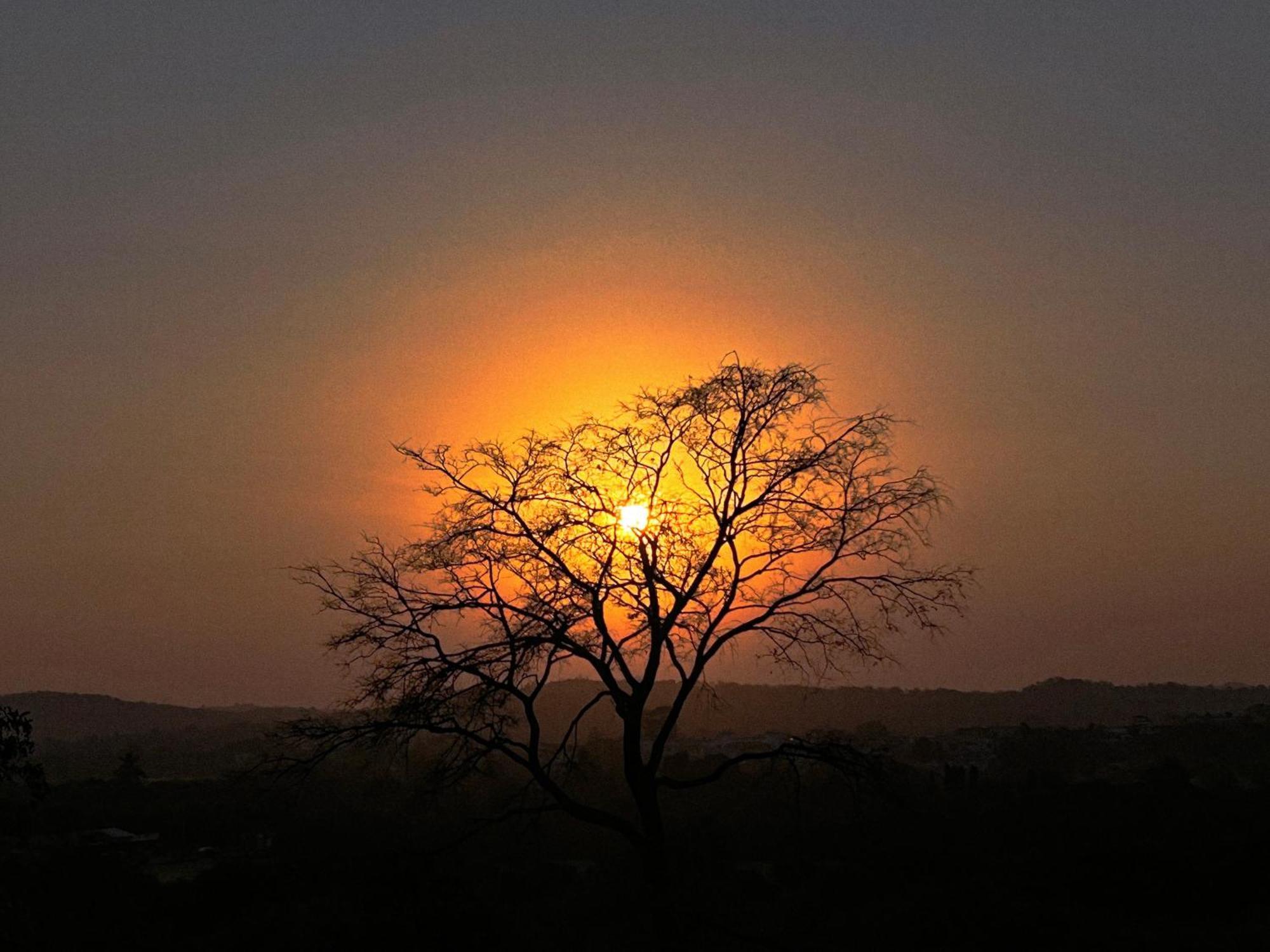 Gir Birding Lodge Sasan Gir Extérieur photo